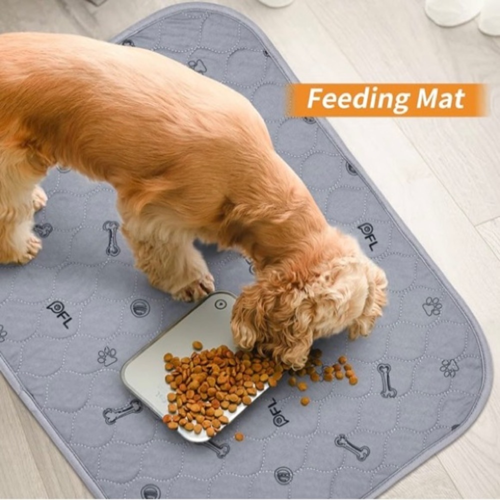 Dog Training Pad 🐶 - Picture 5 of 5